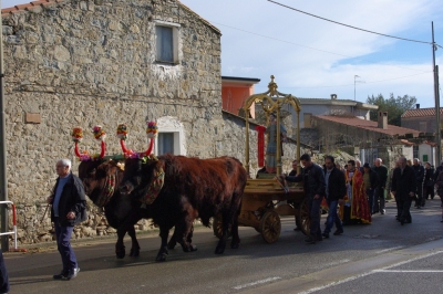 Ordinanza regolamentazione circolazione stradale festa San Vincenzo 2026