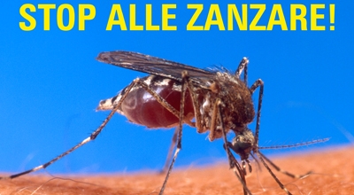 Lotta alle zanzare: decalogo e informativa a cura della Provincia di Oristano