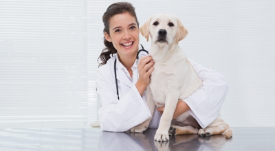 GIORNATA MICROCHIPATURA CANI