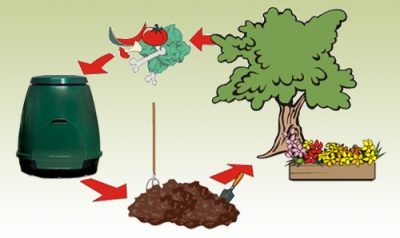 Servizio di compostaggio domestico